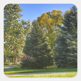 公園の明るい晴れの日 スクエアシール