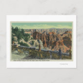 公園の景色 ポストカード (正面)