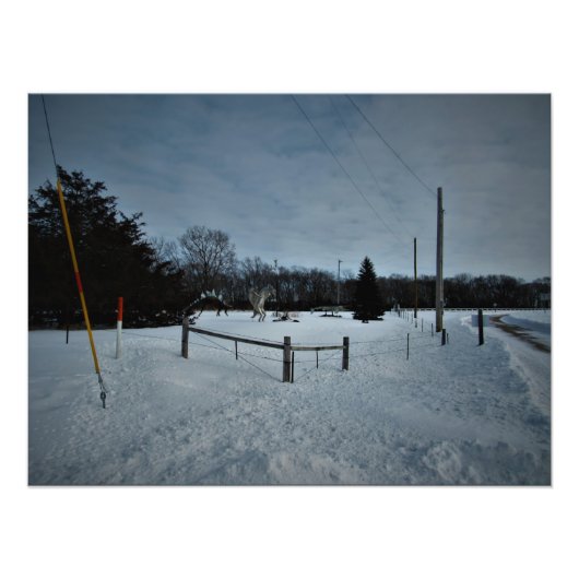 「公園の暴れ」 フォトプリント            (正面)