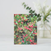 公園の果実 ポストカード (スタンド正面)