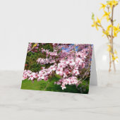 公園の桜の木カード カード (黄色い花)