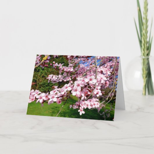公園の桜の木カード カード (正面)