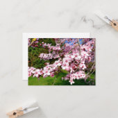 公園の桜の木 カード (正面/裏面インサイチュ)