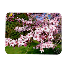 公園の桜の木 マグネット