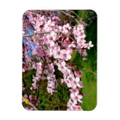 公園の桜の木 マグネット (縦)