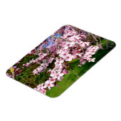 公園の桜の木 マグネット (左側)