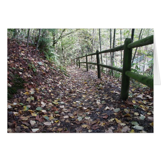 公園の歩行 (正面横)