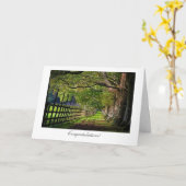 公園の歩行-概要のお祝い カード (黄色い花)