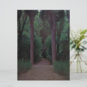 公園の歩道 カード (スタンド正面)