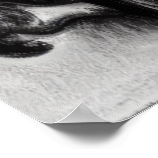 公園の犬の白黒AIアートポスター ポスター (角)