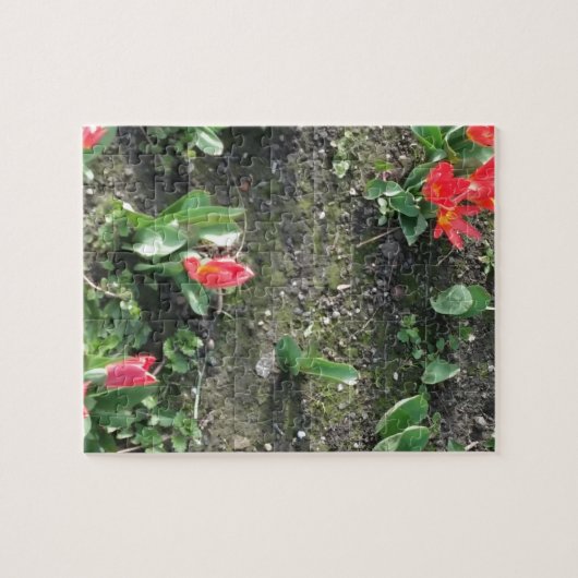 公園の甘い小さな赤い春の花 ジグソーパズル (横)