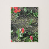 公園の甘い小さな赤い春の花 ジグソーパズル (縦)