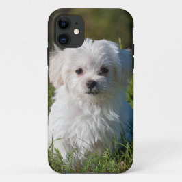 公園の白い子犬 iPhone 11 ケース