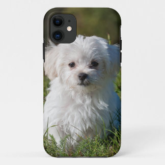 公園の白い子犬 iPhone 11 ケース