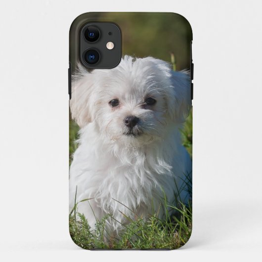 公園の白い子犬 Case-Mate iPhoneケース (裏面)