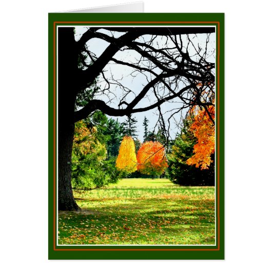 公園の秋 (正面)