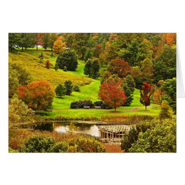 公園の秋 (正面横)