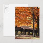 公園の秋 ポストカード (正面/裏面)