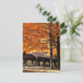 公園の秋 ポストカード (スタンド正面)