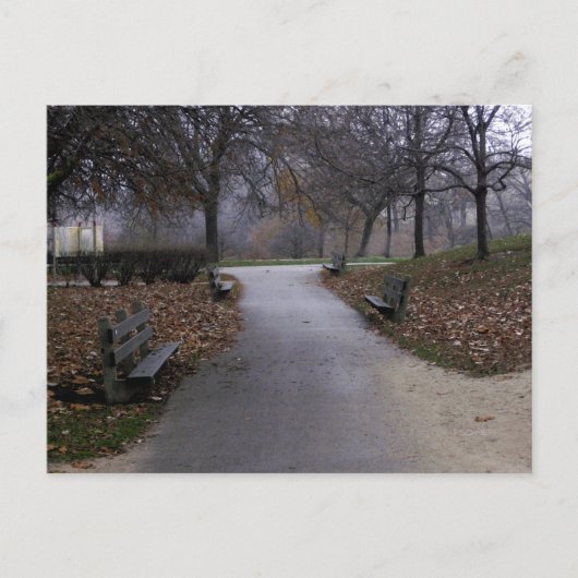 公園の秋 ポストカード (正面)