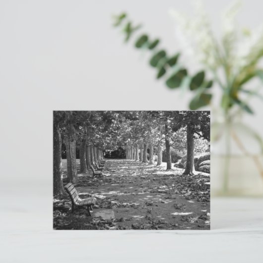 公園の秋：東京 ポストカード (スタンド正面)