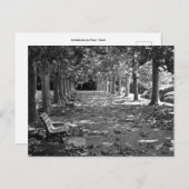 公園の秋：東京 ポストカード (正面/裏面)