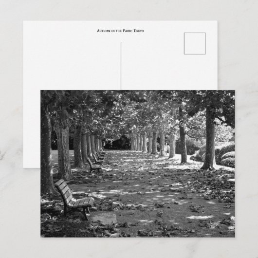 公園の秋：東京 ポストカード (正面/裏面)