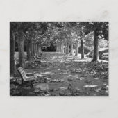 公園の秋：東京 ポストカード (正面)