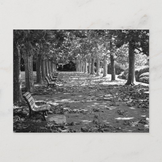 公園の秋：東京 ポストカード (正面)