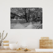 公園の秋 – 白黒 ポスター (キッチン)