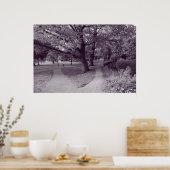 公園の秋 – 紫トネードBW ポスター (キッチン)