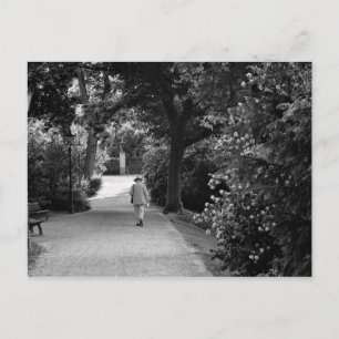 公園の老人の白黒の写真 ポストカード