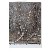 公園の雪 (正面)