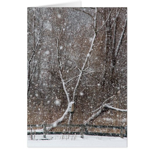 公園の雪 (正面)
