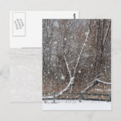 公園の雪 ポストカード (正面/裏面)