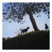 公園の風景芸術の完全な色の名勝犬 ポスター (正面)