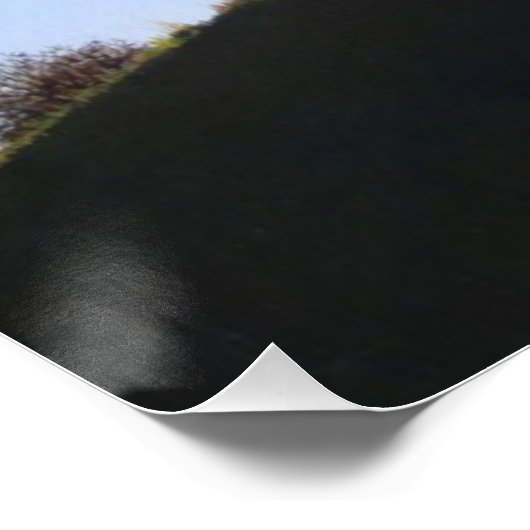 公園の風景芸術の完全な色の名勝犬 ポスター (コーナー)