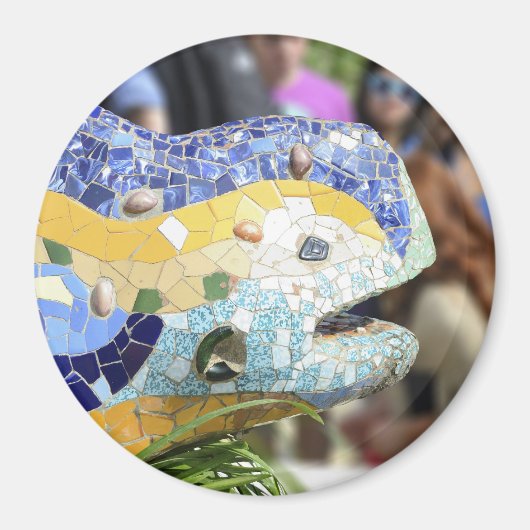 公園のGuellのドラゴンの磁石 マグネット (正面)