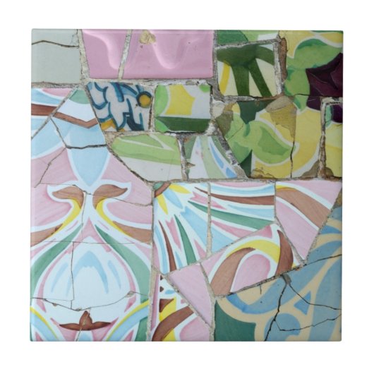 公園のGuellのモザイク・タイル タイル (正面)