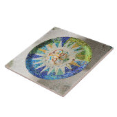 公園のGuellのモザイク・タイル タイル (側面)