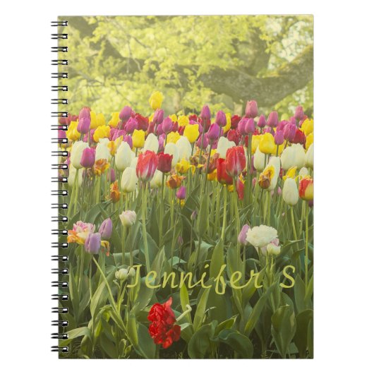 公園カラフルのチューリップパーソナライズされた ノートブック (正面)