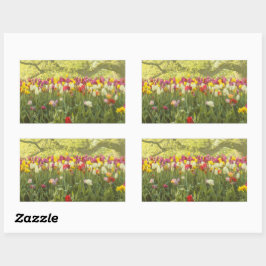 公園カラフルのチューリップ2 長方形シール