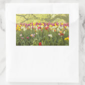 公園カラフルのチューリップ2 長方形シール (バッグ)