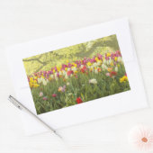 公園カラフルのチューリップ2 長方形シール (封筒)