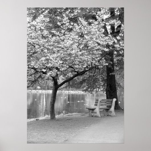 公園ベンチ ポスター (正面)