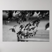 公園ベンチ ポスター (正面)