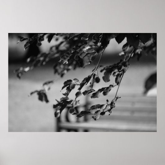 公園ベンチ ポスター (正面)