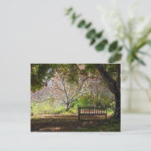 公園ベンチ ポストカード (スタンド正面)