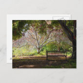 公園ベンチ ポストカード (正面/裏面)