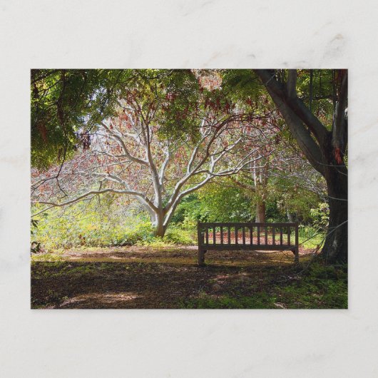 公園ベンチ ポストカード (正面)